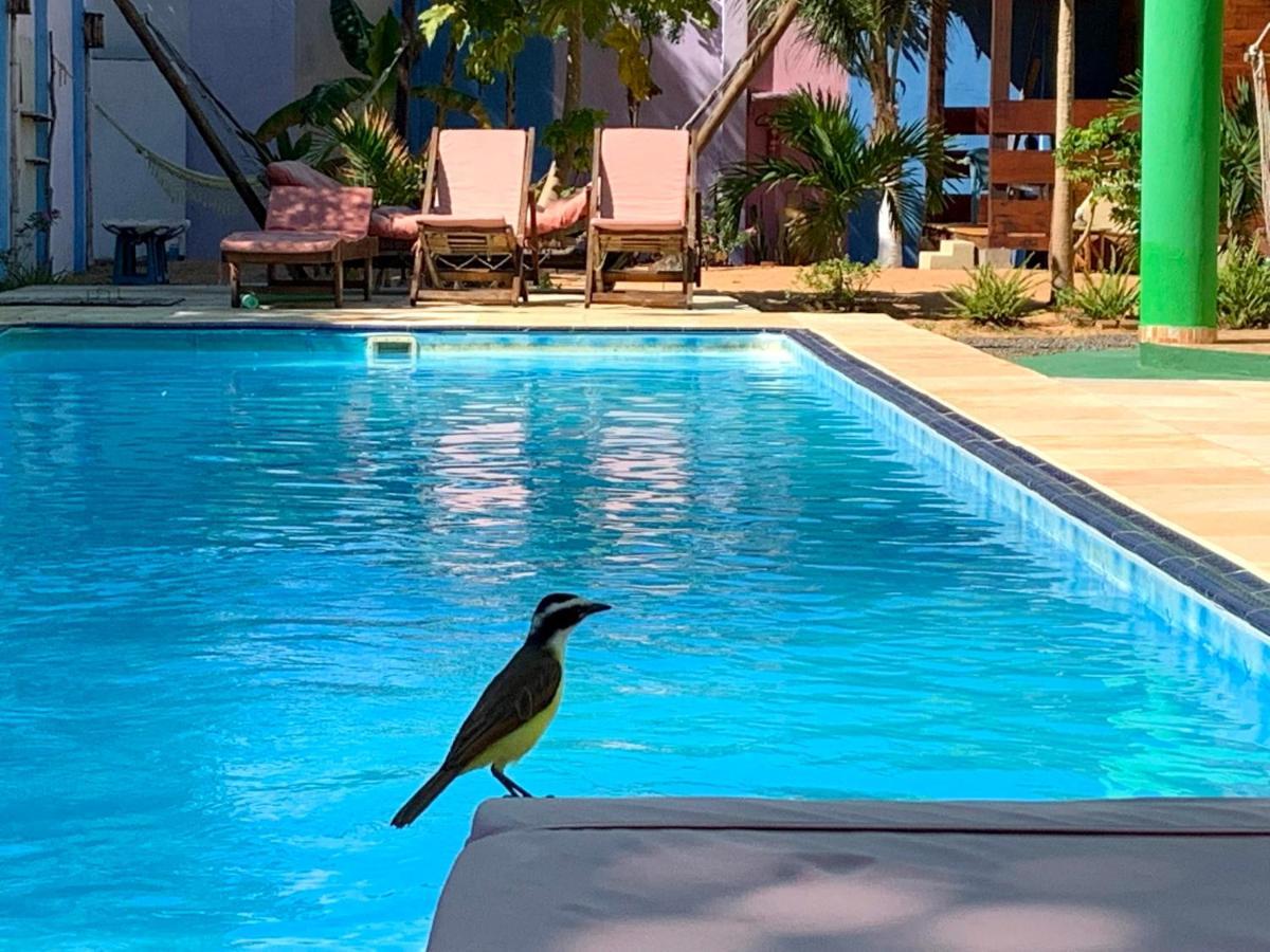 Pousada Janela Da Cor Jijoca de Jericoacoara Esterno foto